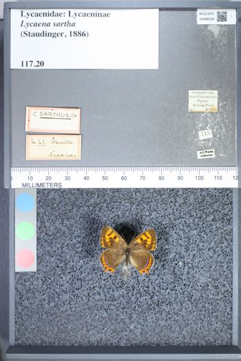 Media type: image;   Entomology 66309